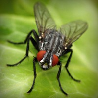 /album/stardoll-sd-hilesi-tr-gg/photolia-a01-jpg/