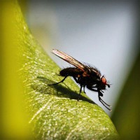 /album/stardoll-sd-hilesi-tr-gg/photolia-a04-jpg/