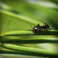 /album/stardoll-sd-hilesi-tr-gg/photolia-a05-jpg/