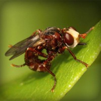 /album/stardoll-sd-hilesi-tr-gg/photolia-a06-jpg/