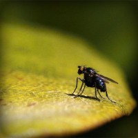 /album/stardoll-sd-hilesi-tr-gg/photolia-a07-jpg/